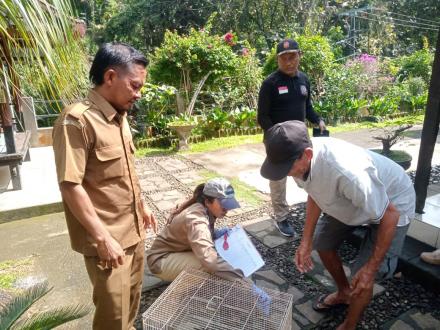 Kegiatan vaksin hewan peliharaan desa banyuatis